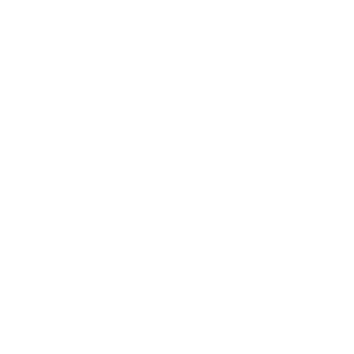COA Icon